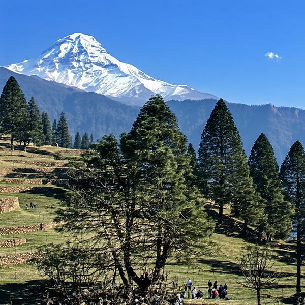 Nepal nature
